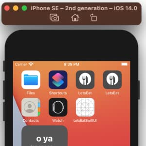 ios programming ios 14 