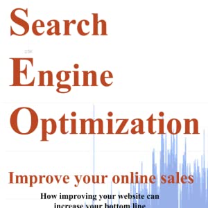 Search Engine Optimization