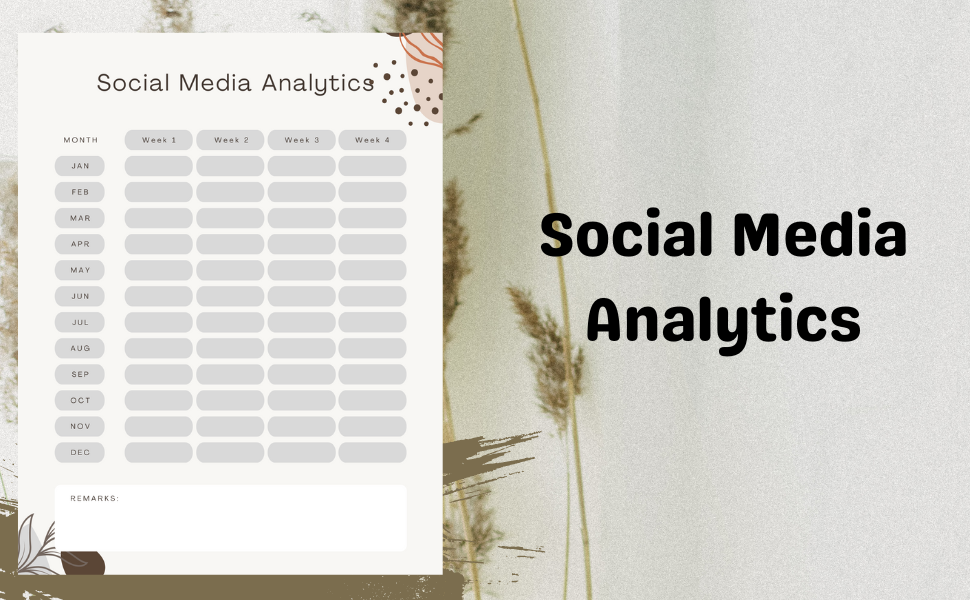 Social media Analyitcs