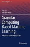 Granular Computing Based Machine Learning: A Big Data Processing Approach (Studies in Big Data, 35)