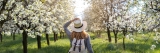 University of Reading tracks fruit tree flowering as spring breaks, with Oracle